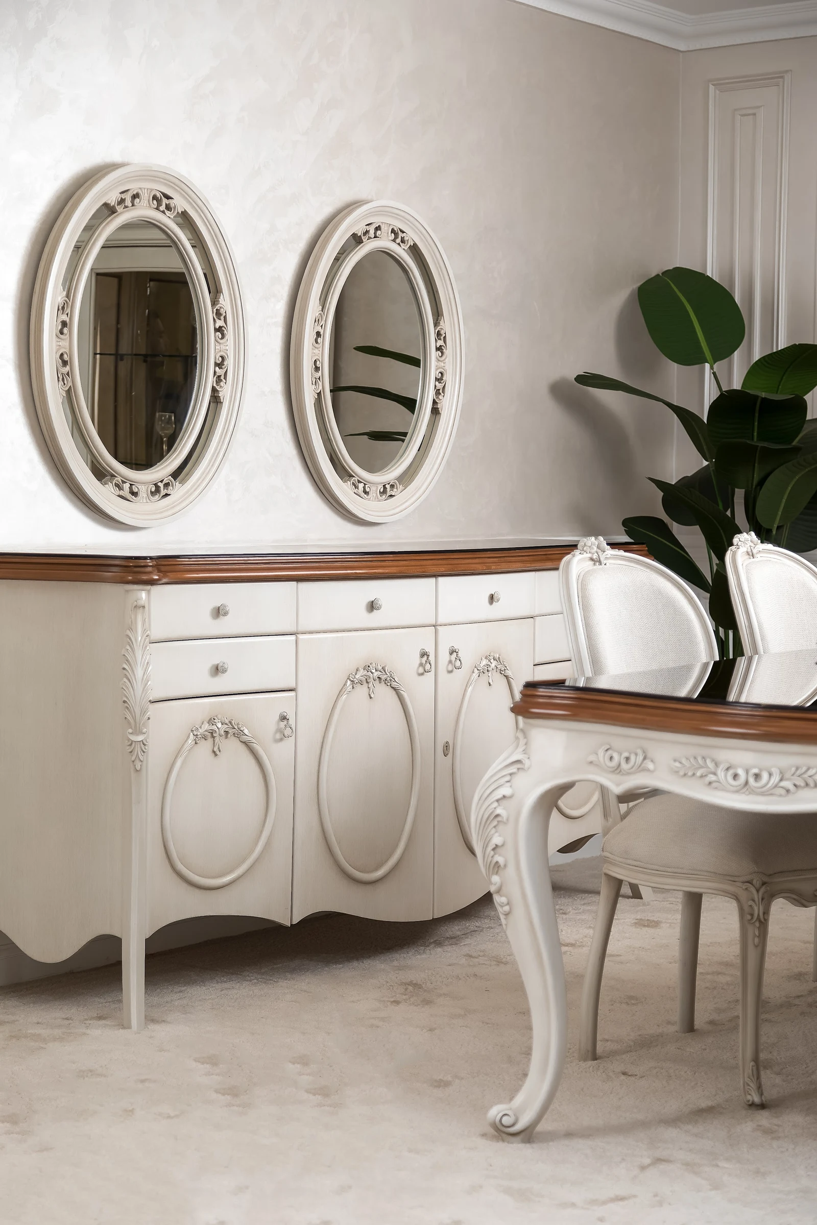 QOYA collection 4
