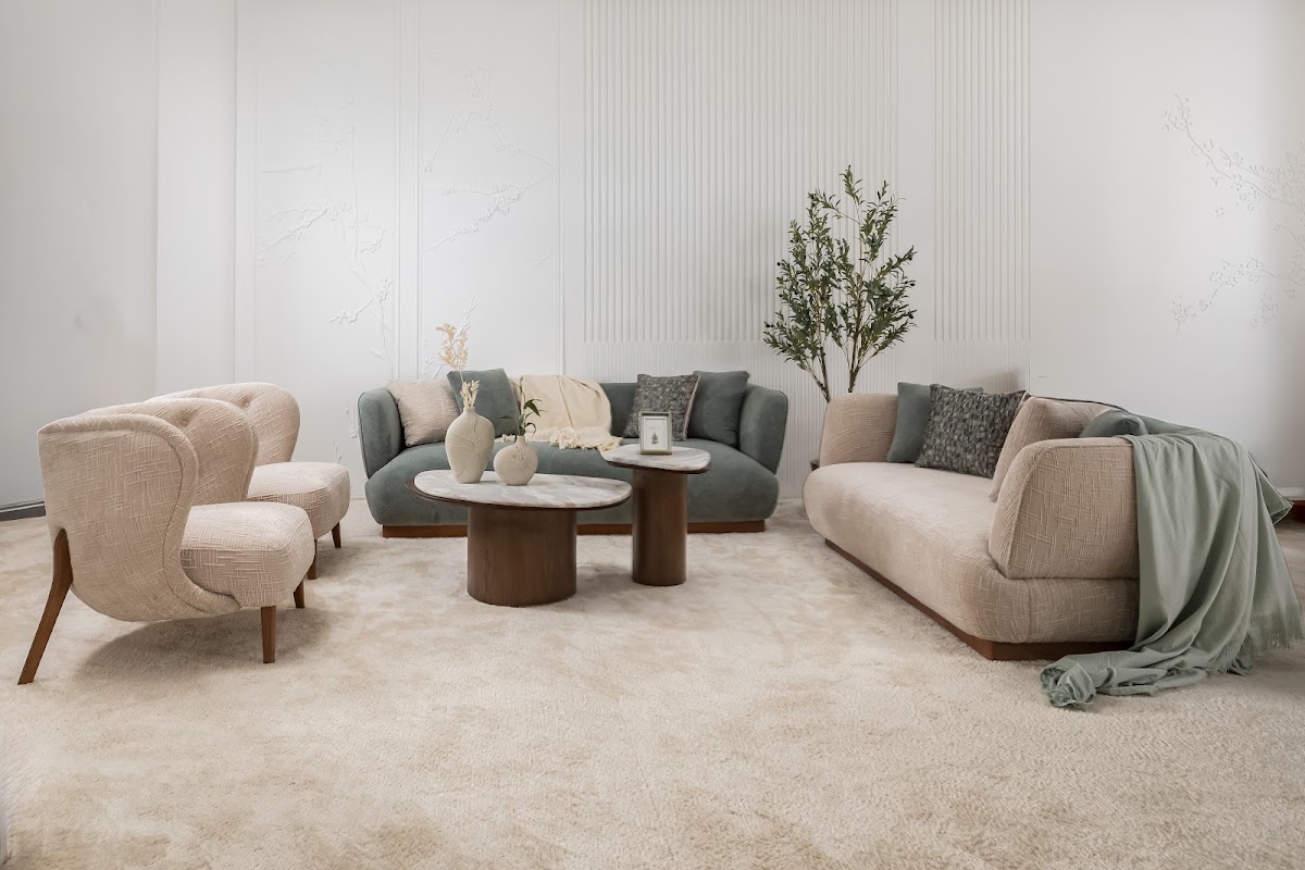 Soft Set